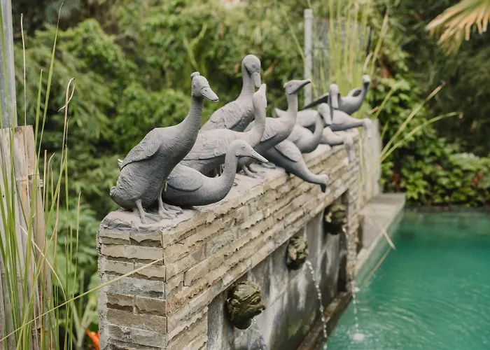 招待所 普图王之子避世旅馆